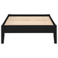 Hounslow Twin Universal Platform Bed Black