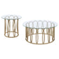 Monett 2-piece Coffee and End Table Set Chocolate Chrome