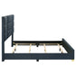 Ines 56-inch Fabric Upholstered Queen Panel Bed Navy