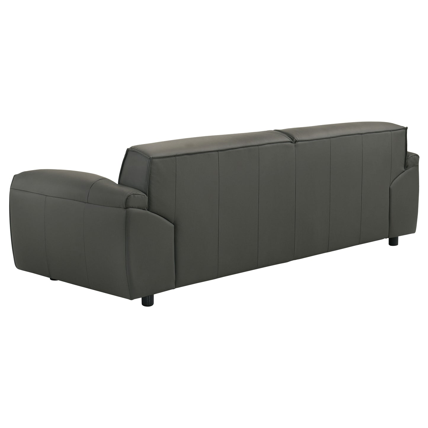 Buxton 2-piece Leather Upholstered Sofa Set Graphite