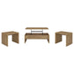 Canoga 3-piece Lift Top Cocktail Coffee Table Set Mango