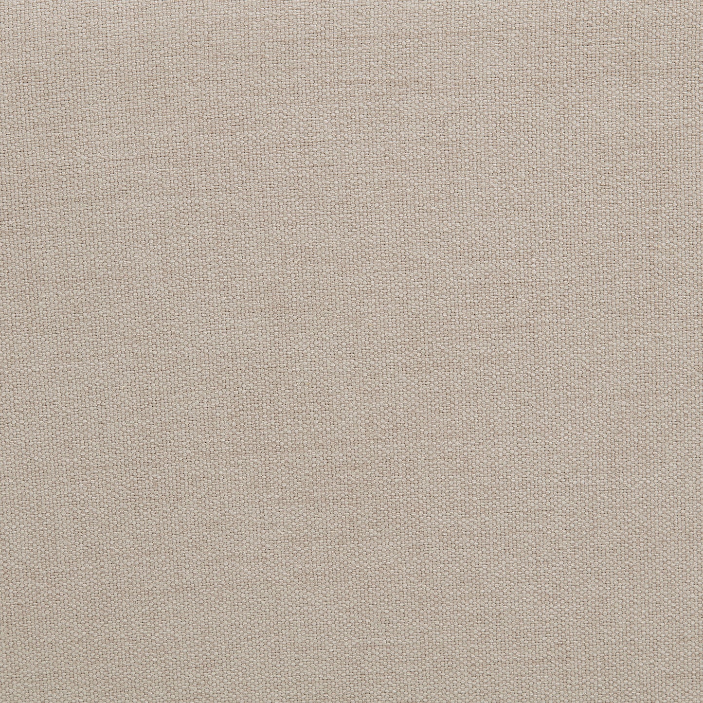 Marsha 52-inch Upholstered Entryway Accent Bench Latte