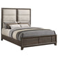 Farre Eastern King Upholstered Panel Bed Dark Brown